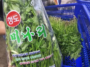 [무료배송] 향이 진한 경북 청도 밭미나리 500g 1kg