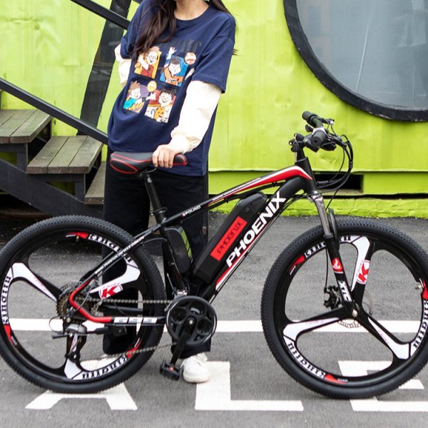 Aishfp electric bike store
