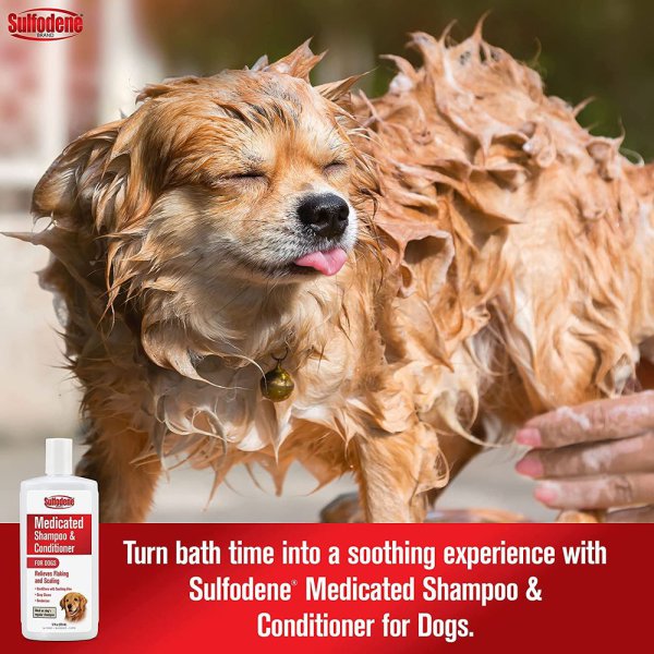 Sulfodene shampoo online