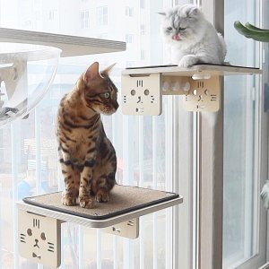 우리 냥이 운동공간 캣휠  Cat furniture design, Cat furniture, Cat gym