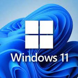 [바로발송] 마이크로소프트 윈도우 11 프로/홈 정품인증키 Windows10 Pro/Home