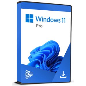 MS 윈도우10 홈/프로 윈도우11 홈/프로 FPP 리테일