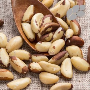 [롯데아이몰][논앤밭위드] [하프클럽 ]브라질너트_1kg 대용량 봉투형