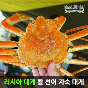 이츠올릿 러시아 킹크랩 활 선어 자숙 대게 3kg 박달 대개 시세 마가단 배달 - 인터파크 쇼핑 이츠올릿 러시아 킹크랩 활 선어 자숙 대게 3Kg 박달 대개 시세 마가단 배달 - 인터파크 쇼핑